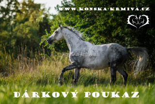 DÁRKOVÝ POUKAZ - dle vlastní hodnoty